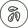 Sesam
